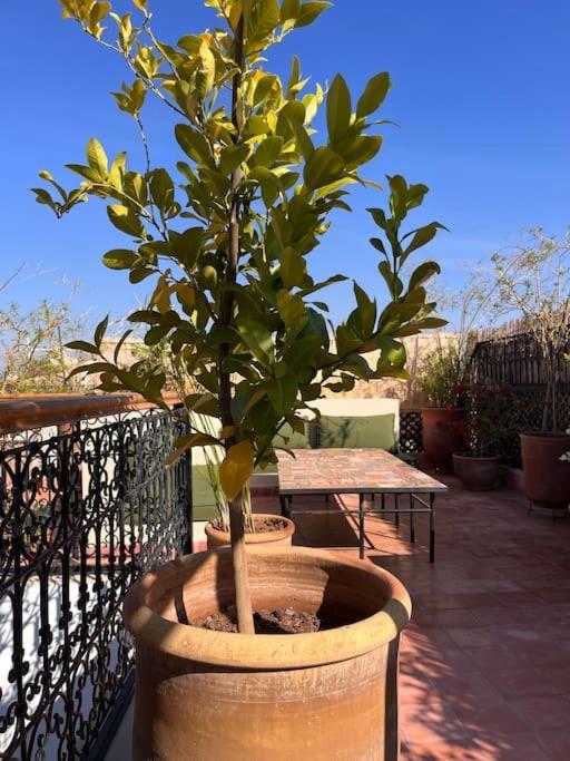 Riad Dar Fannan En Exclusivite Marrakesh Exterior photo